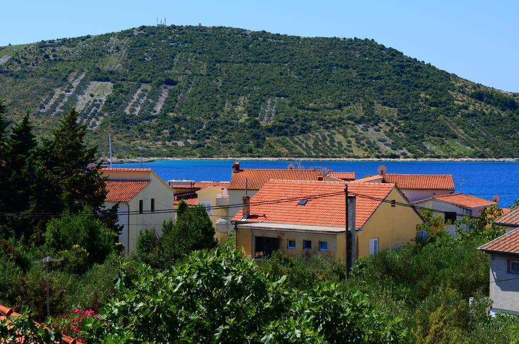 Apartman Milena Διαμέρισμα Primošten Εξωτερικό φωτογραφία